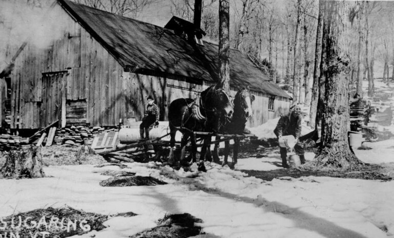 Sugaring. Courtesy of Historical Society of Wilmington